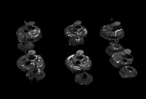 Highly-reflective Black Objects