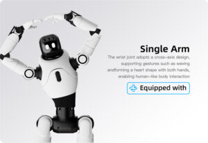 Single Arm The wrist joint adopts a cross-axis design, supporting gestures such as waving and forming a heart shape with both hands, enabling human-like body interaction Equipped with